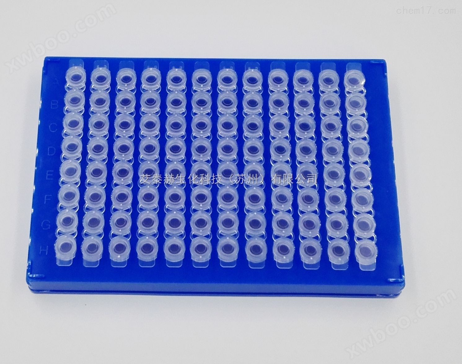 转基因食品DNA检测试剂盒