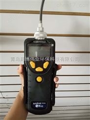 ppbRAE 3000华瑞便携式VOC检测仪国内型号PGM-7340