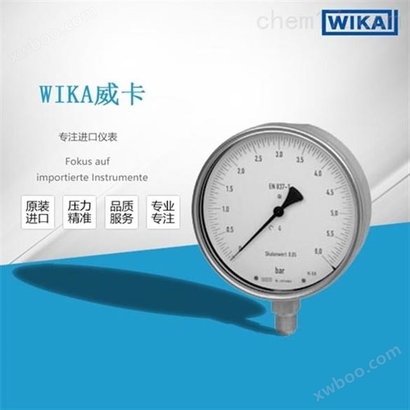 德国威卡WIKA波登管压力表仪表系列 312.20