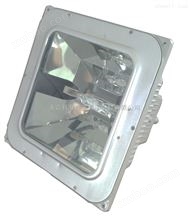 NFC9101海洋王LED泛光灯-NFC9101-海洋王大功率LED(10W-50W)灯报价