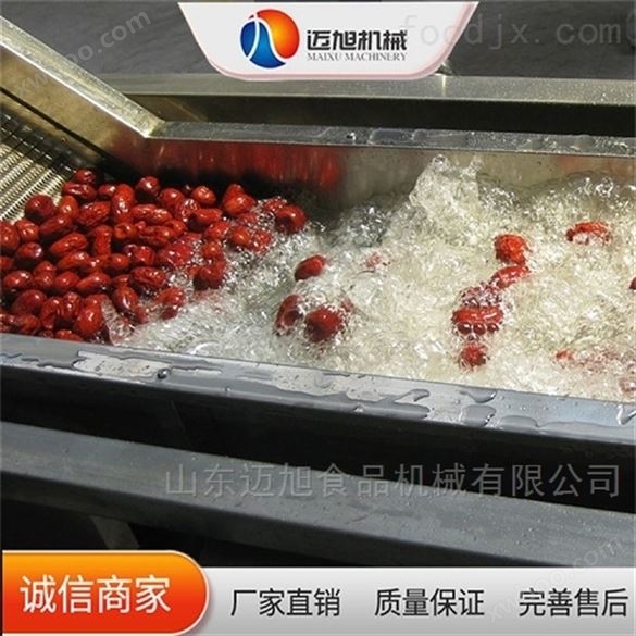 迈旭果蔬加工设备全自动杨梅清洗机
