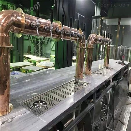 广西1000升自酿啤酒设备 酿酒机械