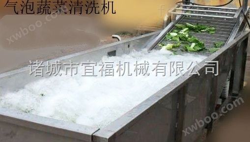 优质气泡翻浪蔬菜清洗机