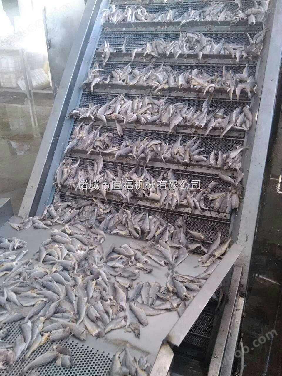 鱼类连续油炸生产线
