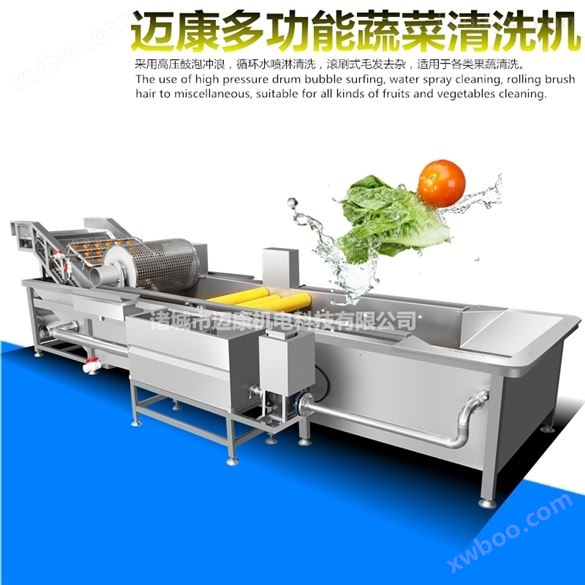 净菜加工生产设备 定制款根茎类瓜果切菜机洗菜机
