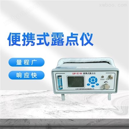 在线式氮气微水测量仪