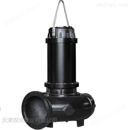 双河泵业供应优质的切割式污水泵 潜水排污泵