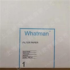 whatman 1号微流控芯片定性滤纸 芯片系统