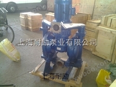 上海耐励牌DBY-100不锈钢隔膜泵型号