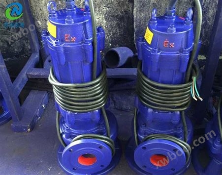 32WQB10-20-2.2 防爆潜污泵标准