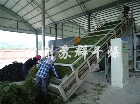 燕麦草专业烘干机，牧草干燥设备厂家