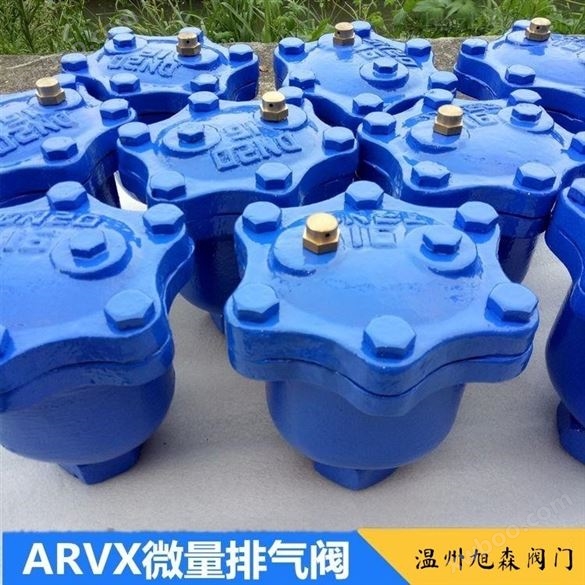 ARVX微量排气阀装置