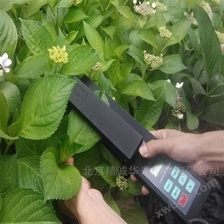 叶面积测定仪 植物生理生态仪器