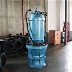 德能泵业高扬程轴流泵安装介绍