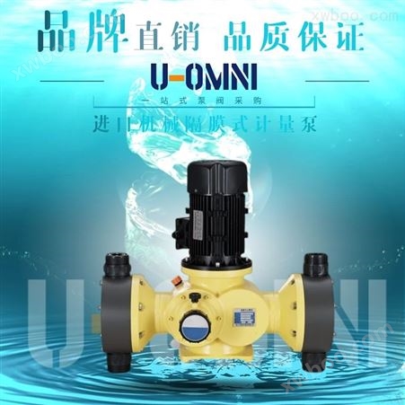 进口液压双隔膜泵-美国进口欧姆尼U-OMNI