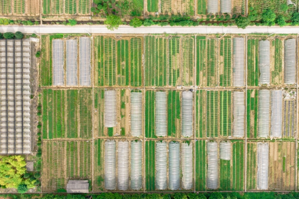 云南举办水稻及大豆玉米带状复合种植机械化技术培训班