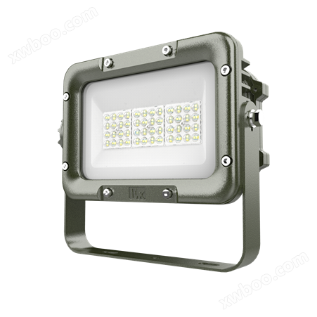 ZBFC8189/LED防爆投光灯/30-80W（透镜款）