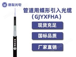GJYXFHA -2芯，管道用蝶形引入光缆，电力光缆厂家，室内光缆价格