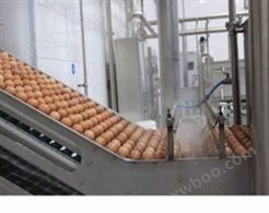 蛋品生产线2