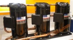 艾默生谷轮涡旋冷库压缩机