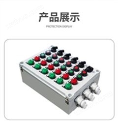 BXK-A7D7防爆配电控制箱