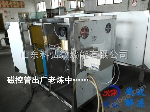 KH-40GMTN型号微波猪肉解冻设备专业生产厂家