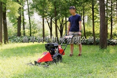 纳雍县汽油剪草机 割草机价格