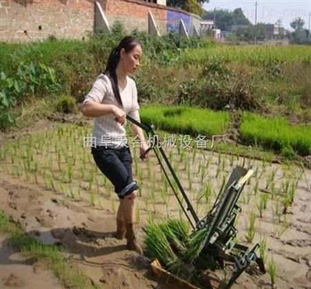 手摇式水稻种植插秧机 新型水稻两行种植机图片与价格