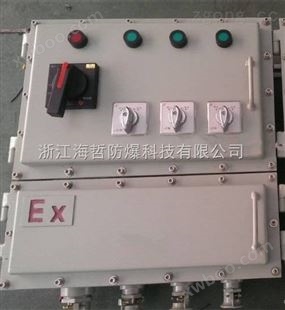 ExdIIBT4防爆动力配电箱BXD51钢板非标定制