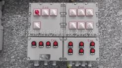 海哲防爆照明配电箱BXM（D）51-IP65-WF1