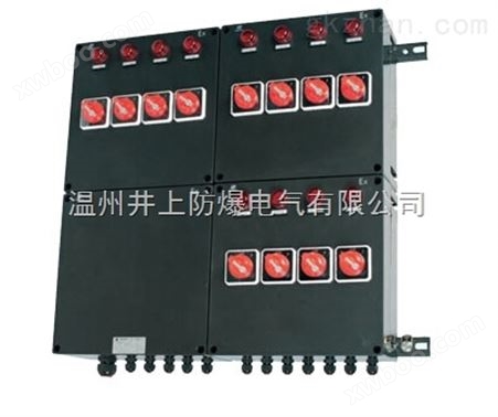 BXM（D）8050-IIC防爆防腐照明（动力）配电箱
