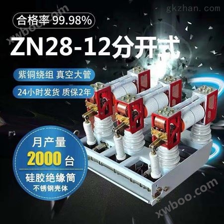 ZN28户内高压开关 真空断路器*