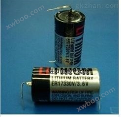 TOSHIBA PLC工控锂电池 ER17330V 进口原装