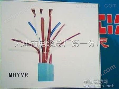 信号电缆MHYV/矿用电缆MHYV22/阻燃电缆厂家MHYAV22