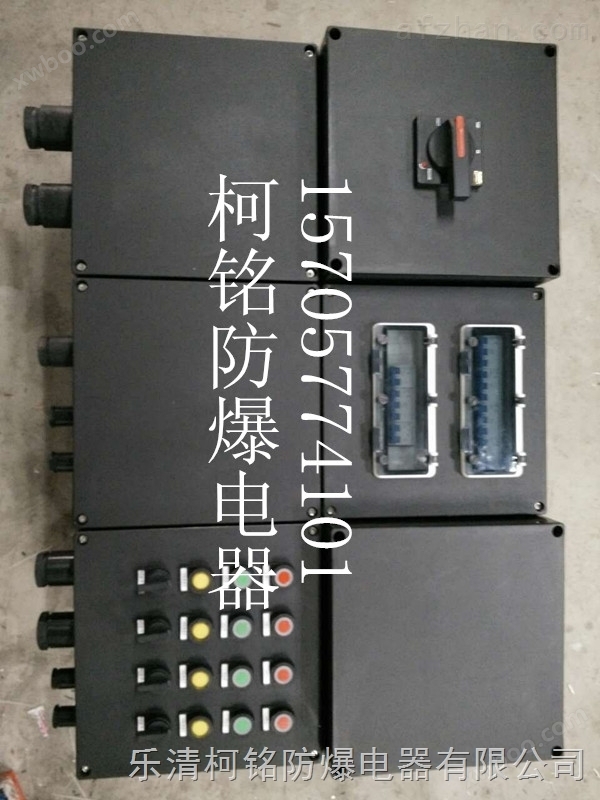 IP65防腐配电箱