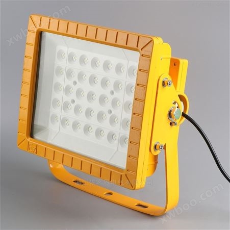大米加工厂壁挂式LED防爆灯100W安装