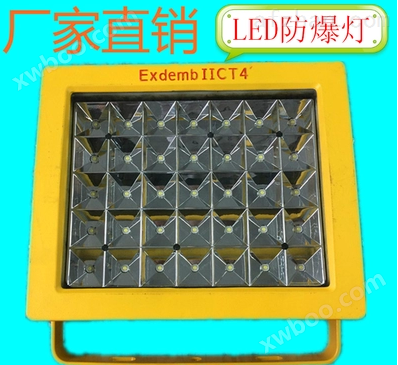 BED01-100W-9101防爆免维护节灯