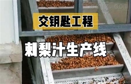刺梨原液加工生产线 - 贵州项目设备运行